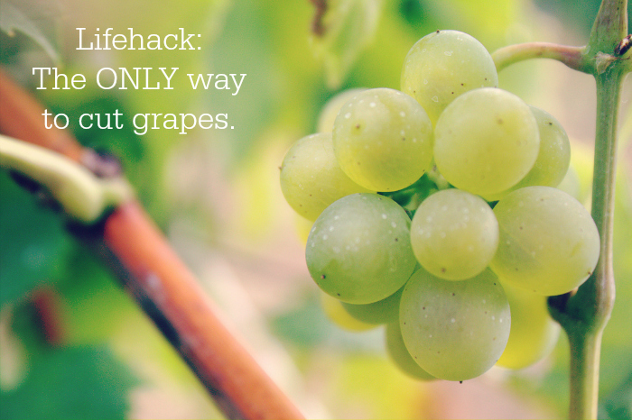 lifehack the only way to cut grapes