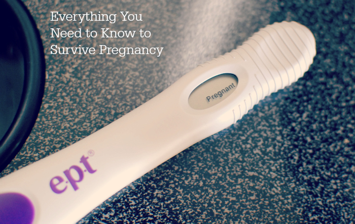 Everything You Need to Know to Survive Pregnancy