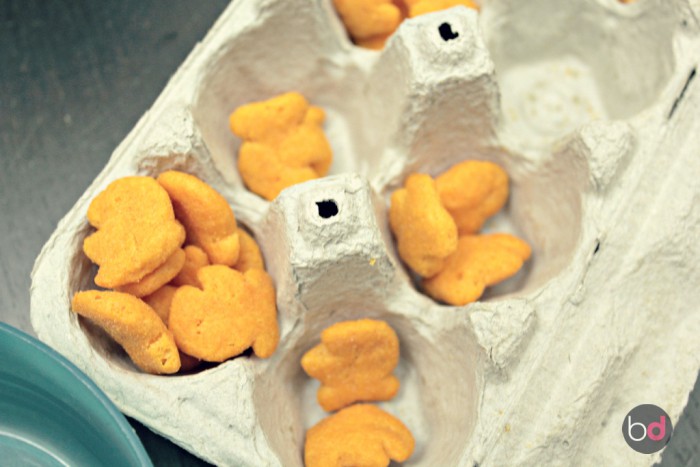 #GoldfishTales
